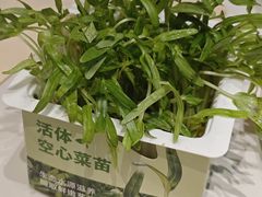 -左庭右院鲜牛肉火锅(金山万达店)