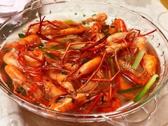 盐水河虾-海江5号