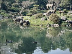 -杭州植物园
