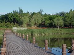 -马家湾湿地公园