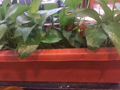 -汕头八里香牛肉店(人民南店)