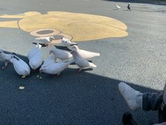 -南昌动物园