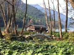 -桐君山春江扬帆码头