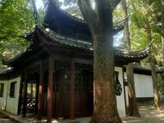 -汇龙潭