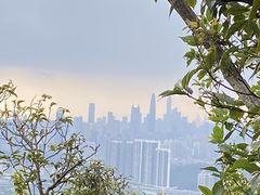 -梧桐山风景名胜区