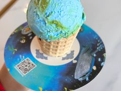 地球冰淇淋-抱抱地球咖啡馆(国家海洋博物馆店)