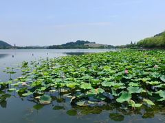 -南北湖风景区