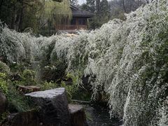 -中国茶叶博物馆(双峰馆区)