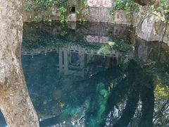 -蝴蝶泉公园