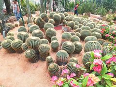 -石家庄市植物园