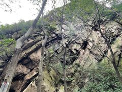 -大岭沟猕猴桃谷风景区