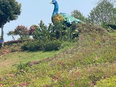 -东莞植物园