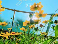 -仙岛湖旅游风景区