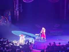 -珠海横琴长隆《卡卡虎奇遇记》