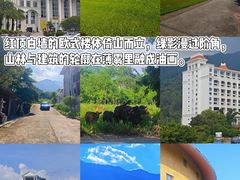 -罗浮山嘉宝田森林温泉度假酒店