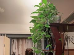 -上康中医脊椎理疗馆