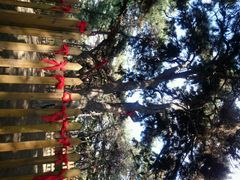 android_upload_pic-高尔山公园