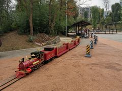 -枫香湖儿童公园