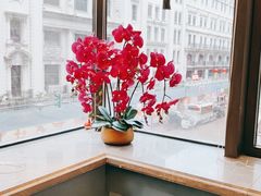 -新雅粤菜馆(南京东路店)