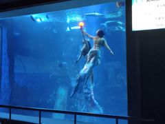 -太平洋海底世界