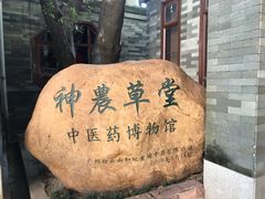 -广州神农草堂中医药博物馆