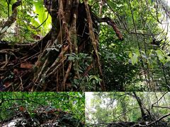 -七仙岭温泉国家森林公园