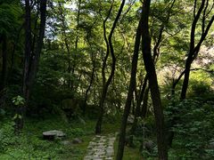 -秦岭终南山世界地质公园翠华山景区
