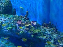 -海合安成都极地海洋公园