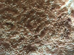 馕饼-东伊顺(高银街店)