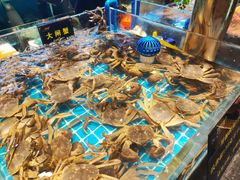 -九月海·海鲜自助(世纪东方店)