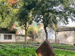 -绍兴鲁迅故里·沈园景区