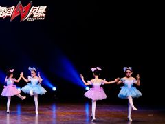 -西安小天鹅艺术团(曲江Alice店)