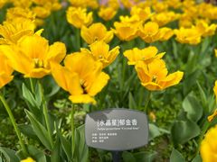 -国家植物园