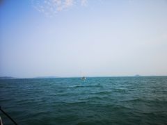 -海豚湾扬帆出海帆船游艇
