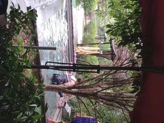 -咸宁万豪温泉谷度假区