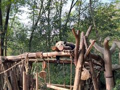 -大连森林动物园