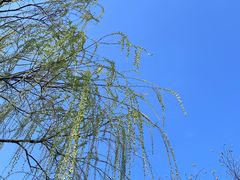 -瀛洲公园