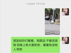 -心语宠物医院·急重症转诊中心·瑞辰华诺(南青路店)