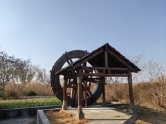 -同里国家湿地公园