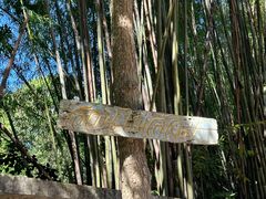 -Bamboo Saturday Market(Nana Jungle)