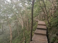 -白草畔自然风景区