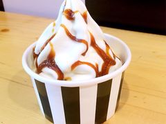 -JW德国冻酸奶Frozen Yogurt(龙湖成都滨江天街店)