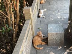 -敬亭山风景名胜区