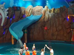 -烟台海昌鲸鲨海洋公园