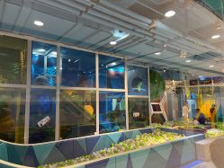 -KidSteam儿童乐园(富力城店)