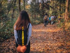 -南京市无想山景区
