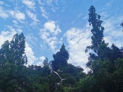 -乐山大佛风景名胜区乌尤寺南门-售票点