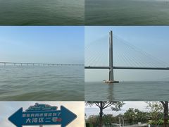 -招商蛇口邮轮母港(观光客运)