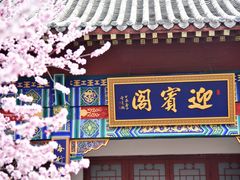 -桃花堤公园