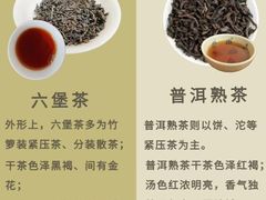 -华祥苑茶馆•国缤茶小蓝罐(普罗旺斯店)